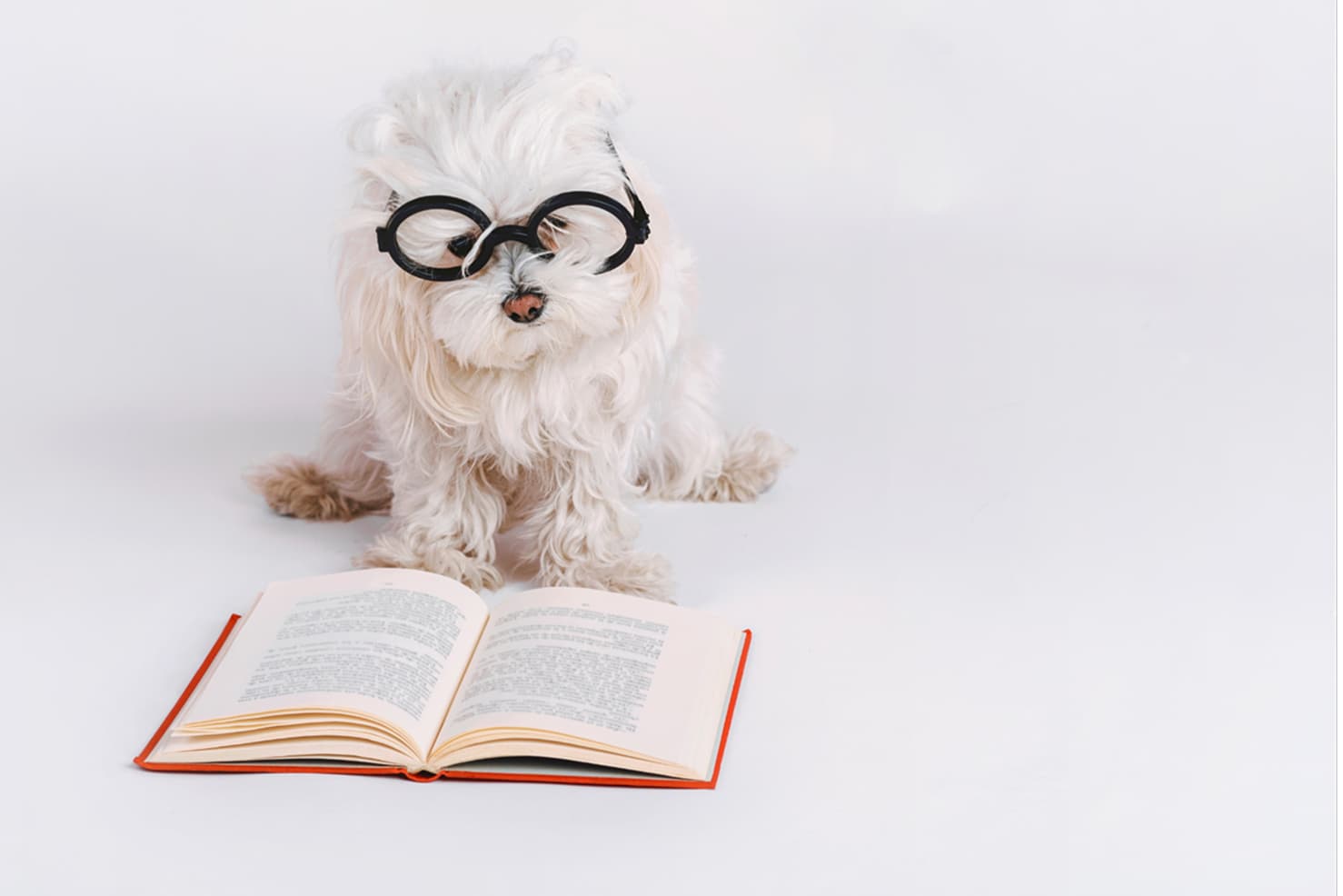 Izobraževalne vsebine